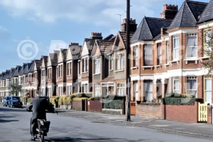 willingdon road wood green london 1950s 52272266757 o