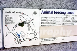 animal feeding times at london zoo 1974 52740914731 o
