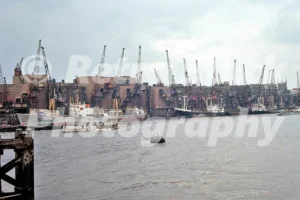 hays wharf river thames london 1965 52784222786 o