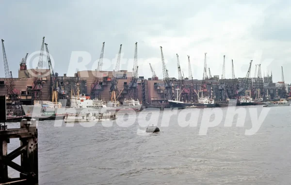 hays wharf river thames london 1965 52784222786 o