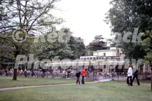 kew gardens 1972 49171232352 o