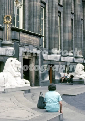 A 1960s colour photo of the seated stone lions at the British Museum’s rear entrance on Montague Place in 1967.