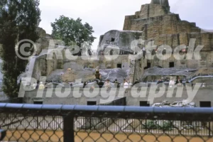 london zoo 1966 52784510399 o
