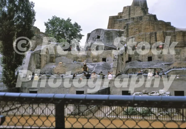london zoo 1966 52784510399 o