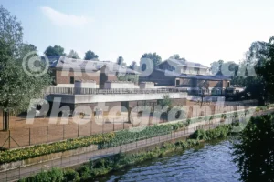 london zoo 1973 33499246446 o