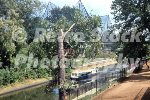 london zoo regents park 1966 39877909093 o