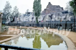 mappin terraces london zoo 1970 52741151639 o
