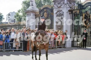 mounted police outside buckingham palace 1979 52210147126 o