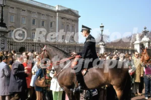 mounted police outside buckingham palace london 1974 52087741034 o