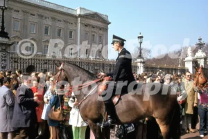 mounted police outside buckingham palace london 1974 52087741034 o