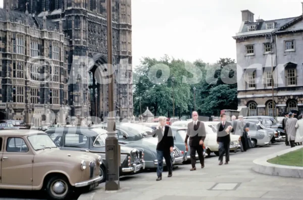 old palace yard parliament london 1960s 52784548174 o
