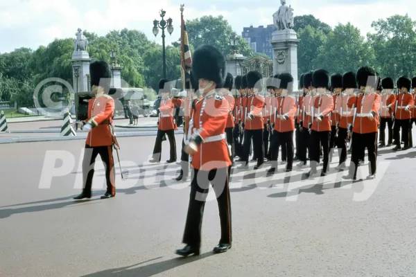 outside buckingham palace london 1964 52784721938 o