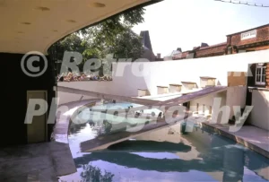 penguin pool at london zoo 1973 52152645655 o