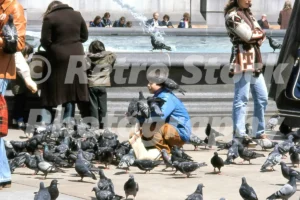 pigeons in trafalgar square london 1979 52139496007 o