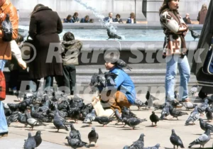 pigeons in trafalgar square london 1979 52139496007 o