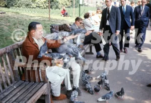 st jamess park london 1965 52784619180 o