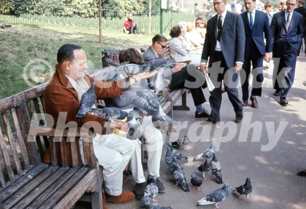 st jamess park london 1965 52784619180 o