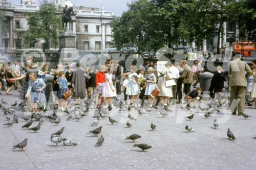 Trafalgar Square, London 1963 - Vintage photo