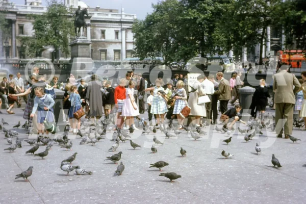 trafalgar square london 1963 45011265871 o