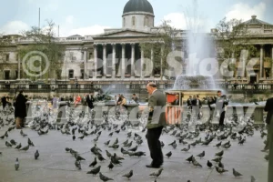 trafalgar square london 1963 52784720593 o