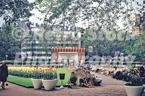 Victoria Embankment Gardens, London 1963 - Vintage photo