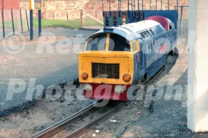 Ayr Miniature Railway 1984