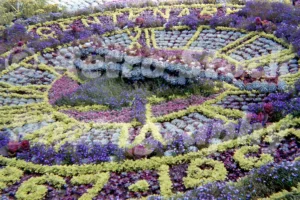Edinburgh Floral Clock 1967