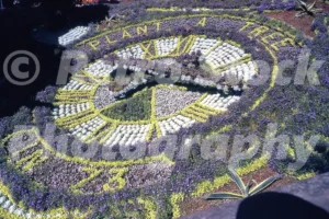 Edinburgh Floral Clock 1973