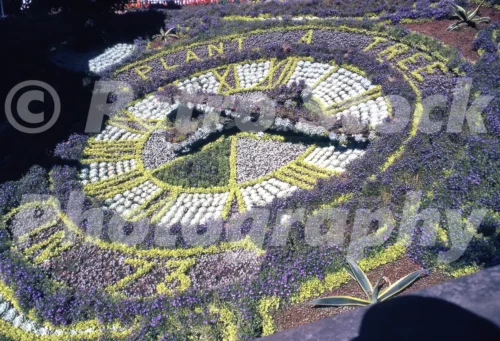 Edinburgh Floral Clock 1973