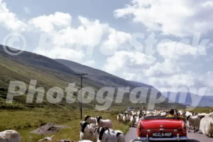 mgb in glen shee scotland 1968 52741589915 o