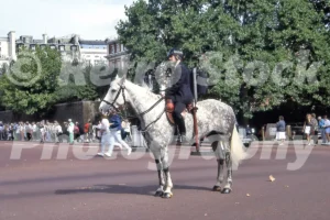 mounted police in london 1989 52741295044 o