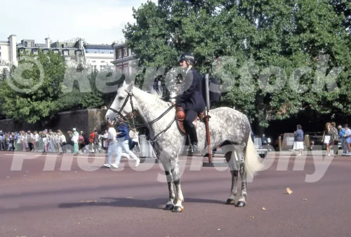mounted police in london 1989 52741295044 o
