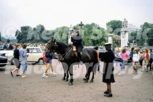 Mounted police in London 1982 - Vintage photo