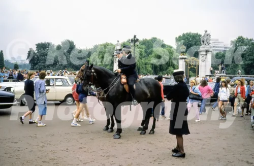 Mounted police in London 1982 - Vintage photo