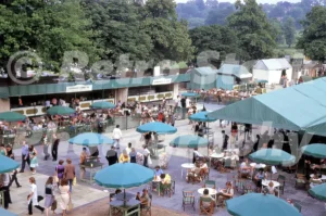 Wimbledon Tennis Club 1981