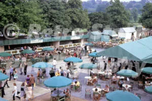 wimbledon tennis club c1981 52114701907 o