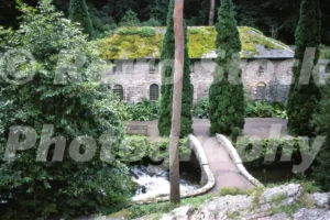 Bodnant Gardens, Tal-y-Cafn 1978 - Vintage photo