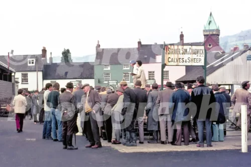 A 1975 photograph of the Abergavenny cattle market featuring a sign for J. Straker, Son & Chadwick Calves & Sheep, with an auctioneer and a large crowd of farmers in flat caps.