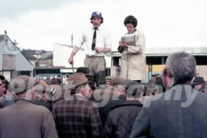 Cattle market in Abergavenny 1975