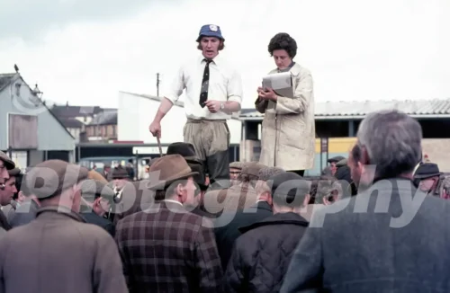 Cattle market in Abergavenny 1975