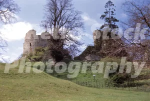 A 1950s view of the stone ruins of Hawarden Old Castle situated on a grassy mound and surrounded by bare deciduous trees under a blue sky.