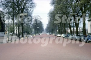 King Edward VII Avenue, Cardiff 1960s - Vintage photo
