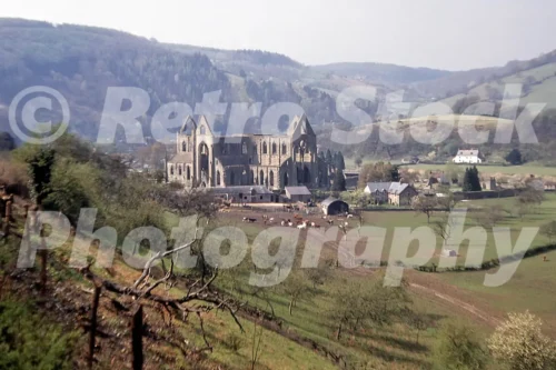 Tintern Abbey, Monmouthshire 1950