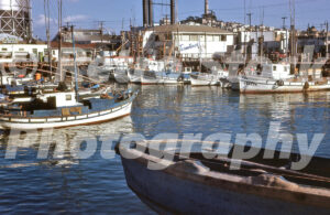 Fisherman's Wharf, San Francisco 1950s