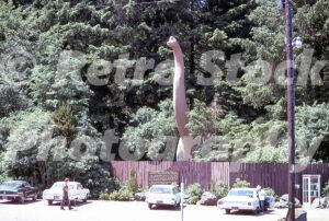 Prehistoric Gardens, Port Oxford, Oregon 1969