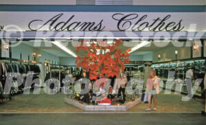 A 1960s colour photo of the Adams Clothes storefront at Cherry Hill Mall in New Jersey, featuring a central display with a bright orange autumn tree and mannequins in suits.