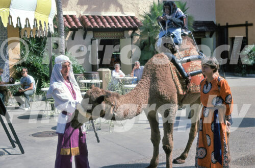 A 1970s color photo of a performance in the Moroccan Village at Busch Gardens in Tampa, Florida, featuring a chimpanzee in a blue vest riding a camel led by a trainer in traditional costume.