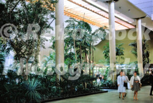 A 1960s colour photo of the lush interior court at Cherry Hill Mall in New Jersey, featuring tall tropical trees, a waterfall, and shoppers in period fashion.