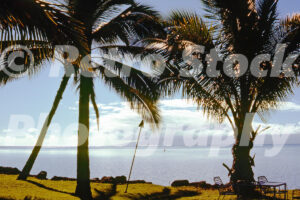 A 1980s colour photo of the coastline at Hotel Molokai, featuring palm trees silhouetted against a shimmering ocean and a Tiki torch on a grassy lawn.