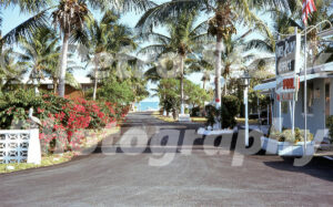 A 1970s colour photo of the entrance to the Pines & Palms Resort in Islamorada, Florida, featuring a black paved driveway lined with palm trees, blooming red bougainvillaea, and a vintage office sign.